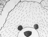 Â Â BearÂ Â Â Â Â Â Â Â Â Â Â Â Â Â Â Â Â Â Â Â Â Â Â Â Â Â    Â Â Â             Olivia  AgeÂ Â 10Â Â 